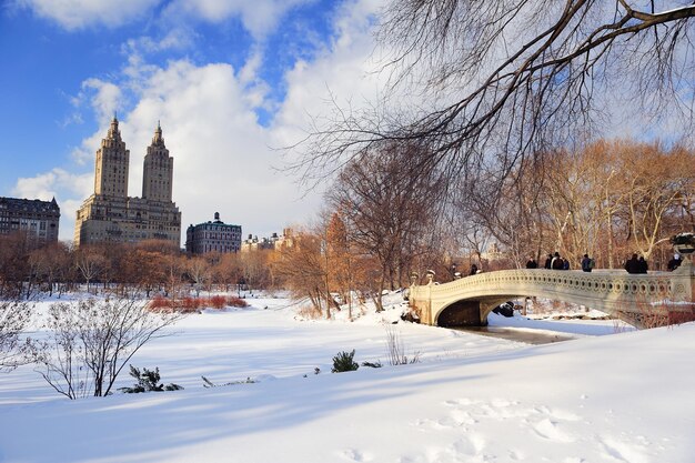 Panorama de New York City Manhattan Central Park en hiver