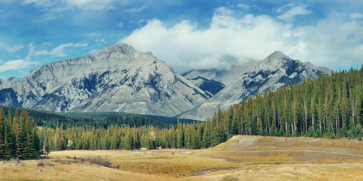 Photo gratuit panorama paysager du parc national de banff au canada avec des montagnes enneigées