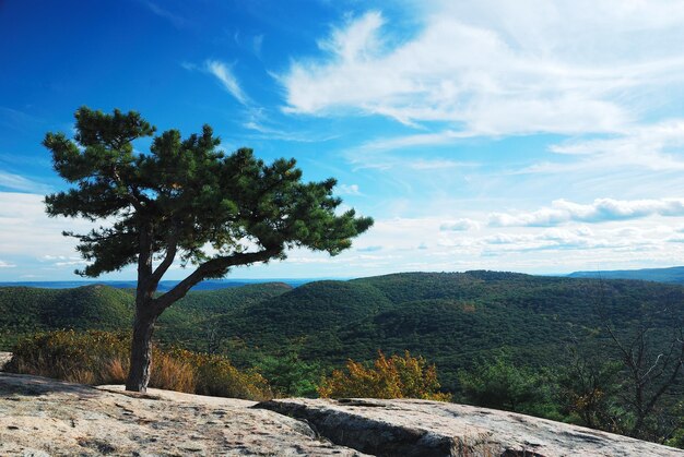 Panorama de la vue sur le sommet de la montagne d'automne