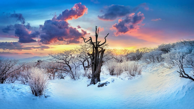 Photo gratuit panoramique des montagnes deogyusan en hiver, corée du sud.
