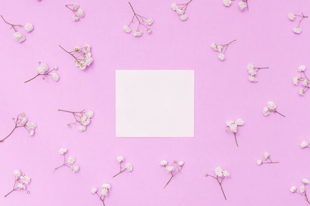 Papier blanc avec des branches de fleurs sur la table