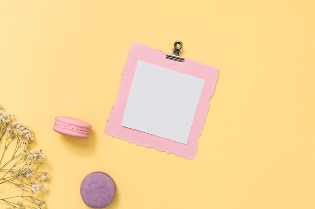 Papier blanc avec des macarons et une branche de fleur