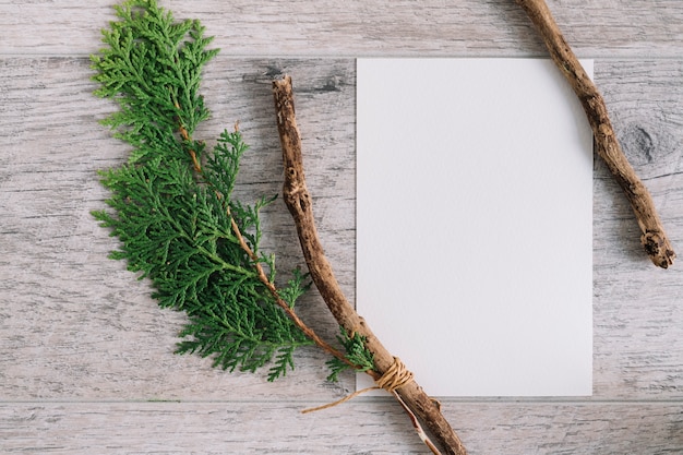 Papier blanc vierge avec brindille de cèdre et branche sur fond texturé en bois