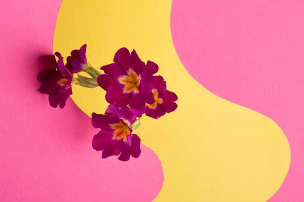 Papier peint printanier esthétique avec des fleurs