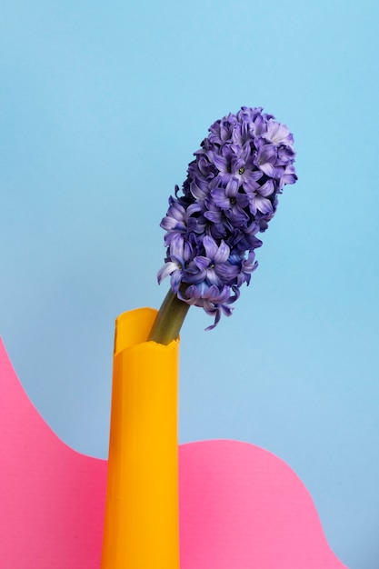 Papier peint printanier avec jacinthe violette