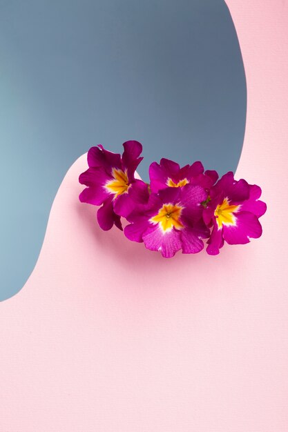 Papier peint de printemps avec de petites fleurs