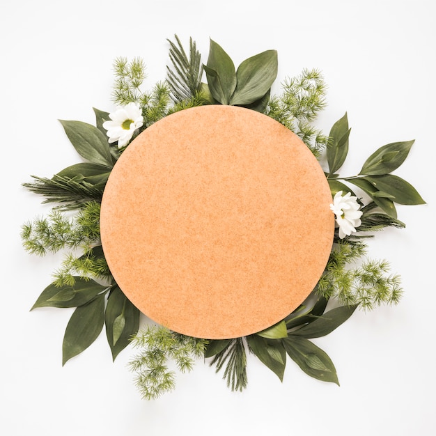 Papier rond sur des branches de plantes vertes