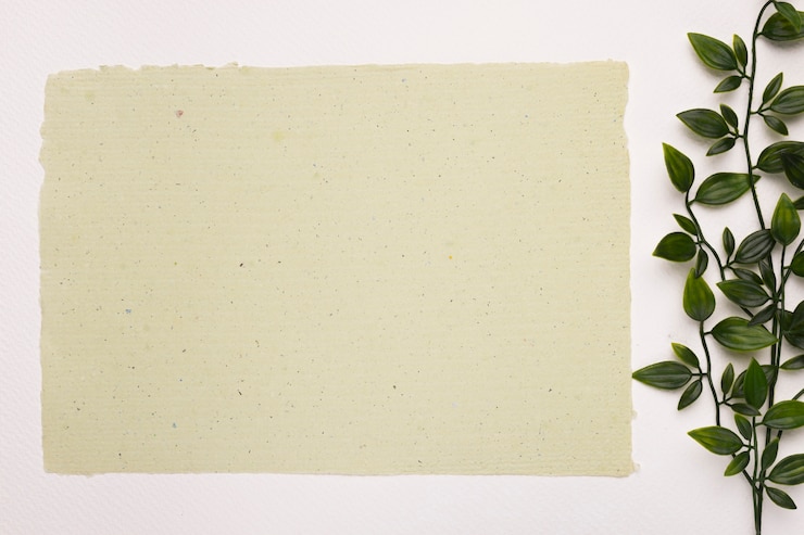 Photo gratuit papier texturé blanc près de la plante laisse sur fond blanc