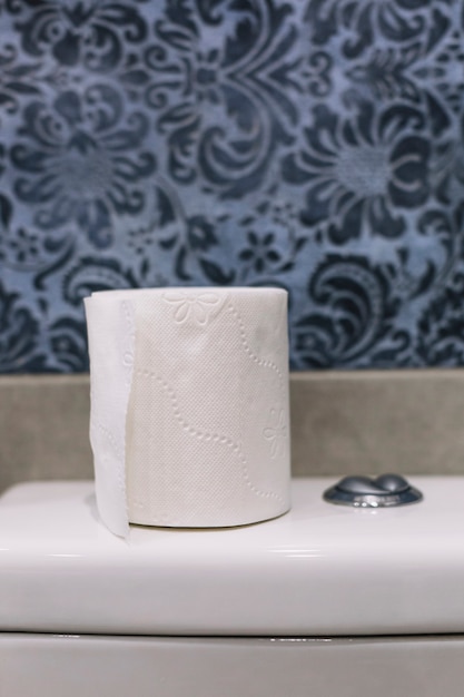 Papier toilette sur le réservoir