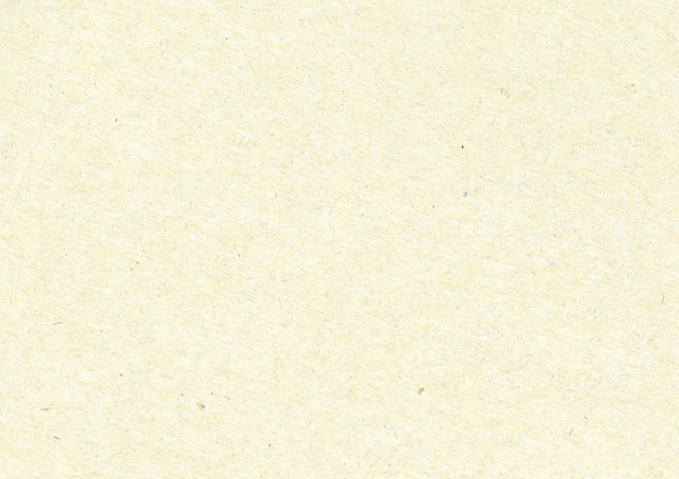 Papyrus Texture