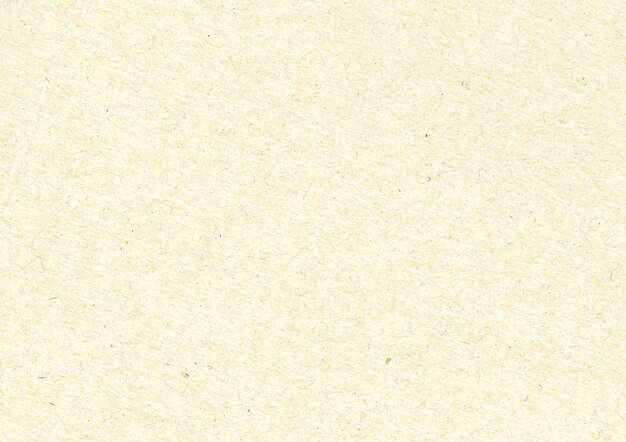 Papyrus Texture