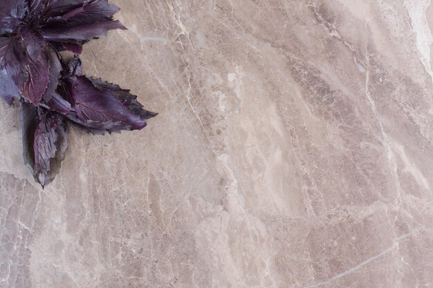 Paquet empilé de feuilles d'amarante sur une surface en marbre