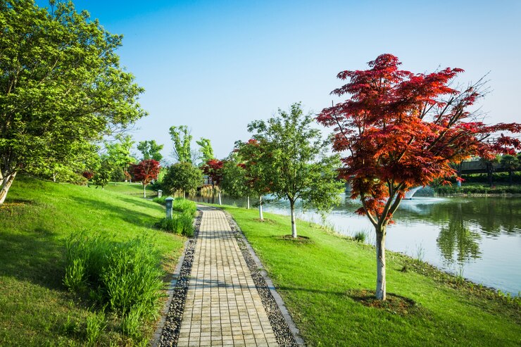 Parc extérieur de la nature et sentier de la rue