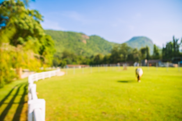 Parc flou abstrait avec champ vert