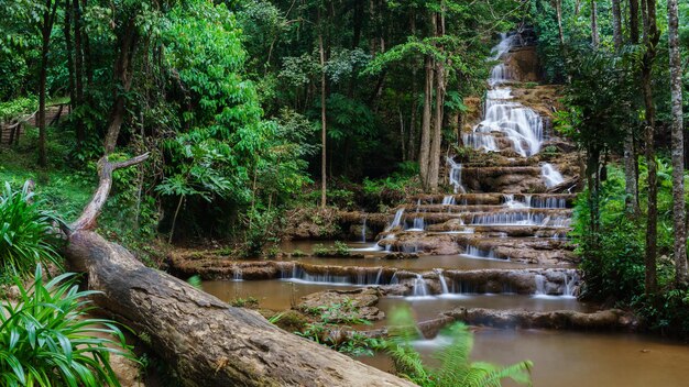 Parc national de la cascade pha charoen, mae sot, province de tak, thaïlande