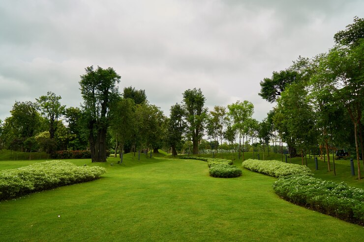 Photo gratuit parc nature fraîche beaux milieux