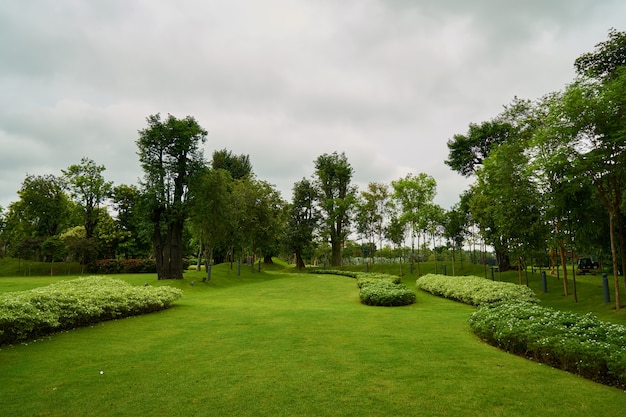 parc nature fraîche beaux milieux