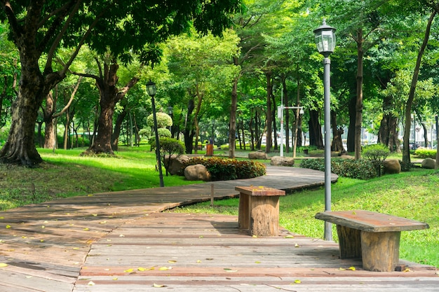 Parc avec un sentier et des bancs en bois