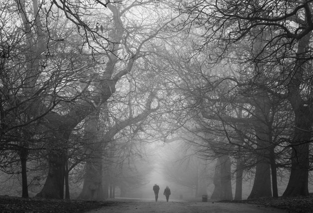 Un parc sombre et effrayant avec deux personnes au loin