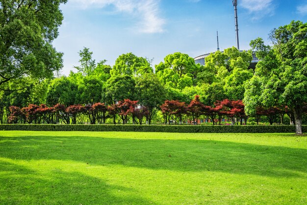 Parc de ville