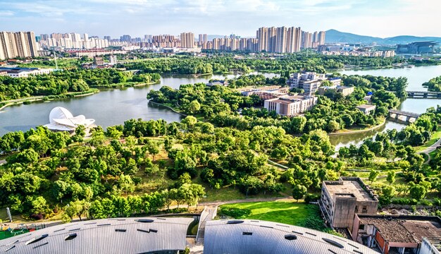 Parc avec la ville