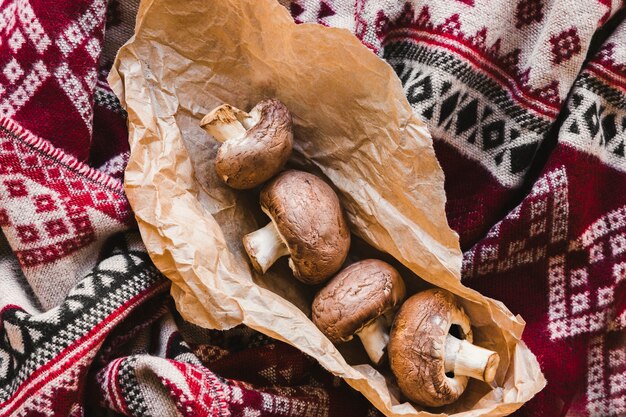 Parcage avec de beaux champignons