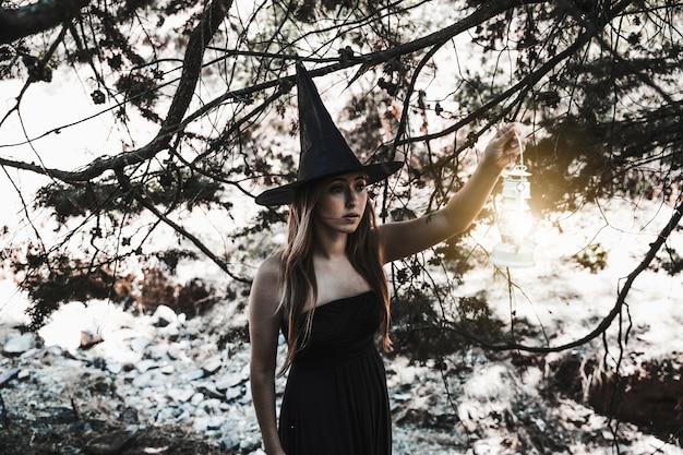 Photo gratuite parcours de sorcière d'halloween en forêt
