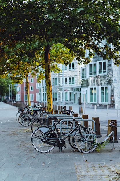 parking à vélos