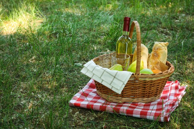 Passer du temps dans la nature accessoires de pique-nique pour pique-nique