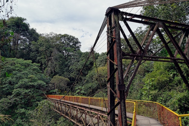 Passerelle en bois reliant les deux côtés de la forêt