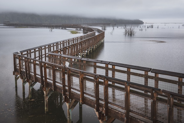 Passerelle en bois s'étendant sur le Puget Sound à marée haute