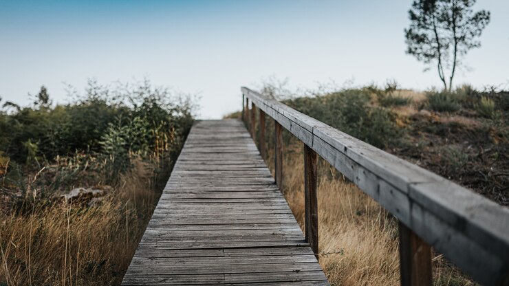 Photo gratuit passerelle en bois traversant un champ d'herbe et d'arbres