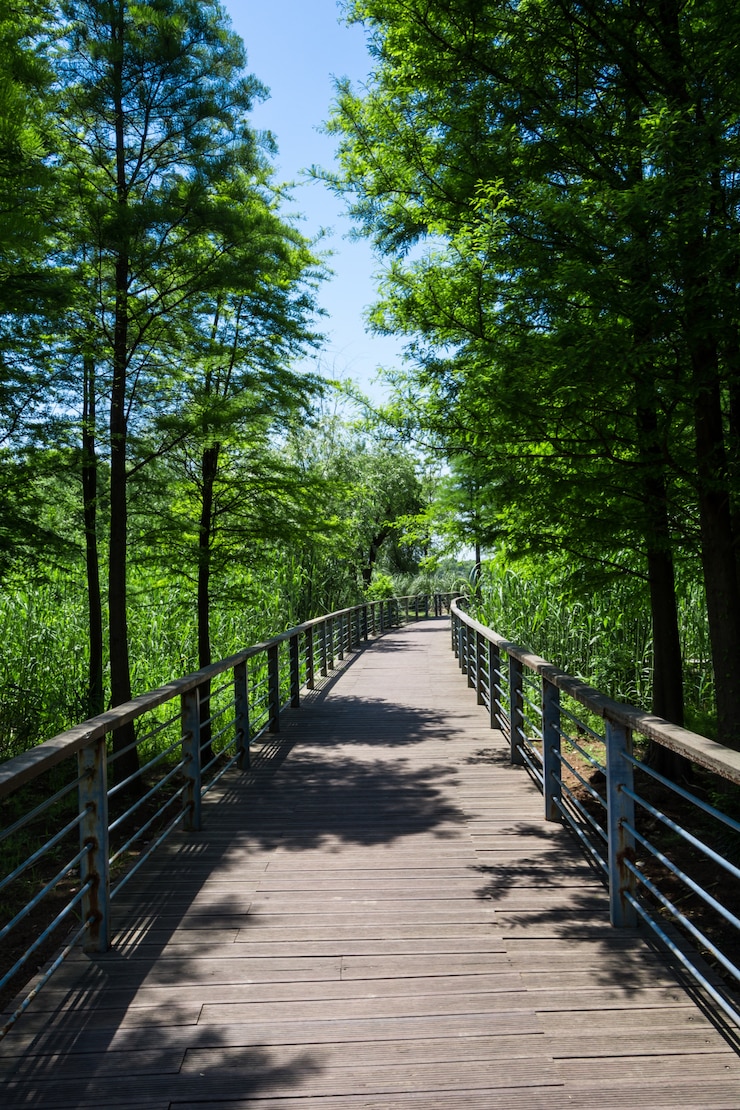 Photo gratuit passerelle dans le jardin à bangkok, thaïlande