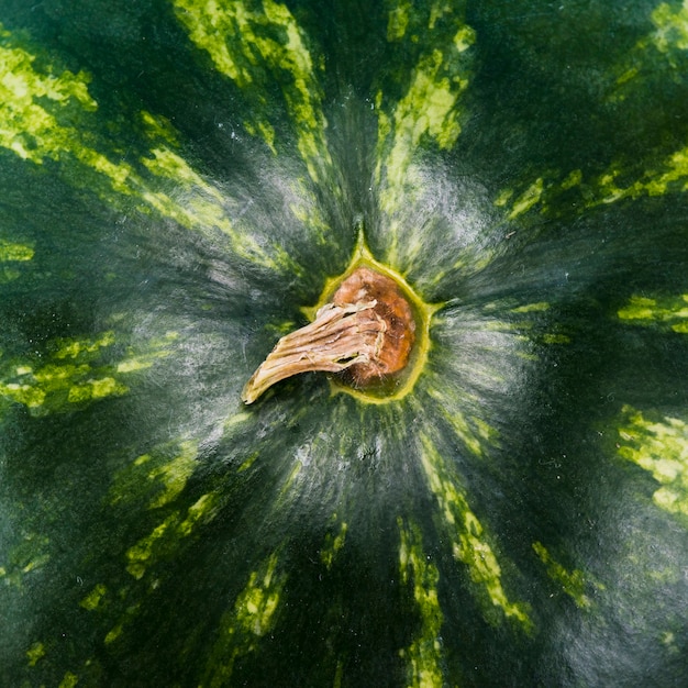 Photo gratuite pastèque entière verte fraîche