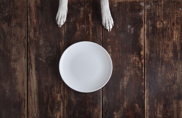 Pattes de chien sur la vieille table en bois brossé vintage avec vue de dessus de plaque en céramique vide blanc. Concept