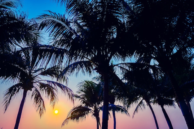 paume inde motif horizon île