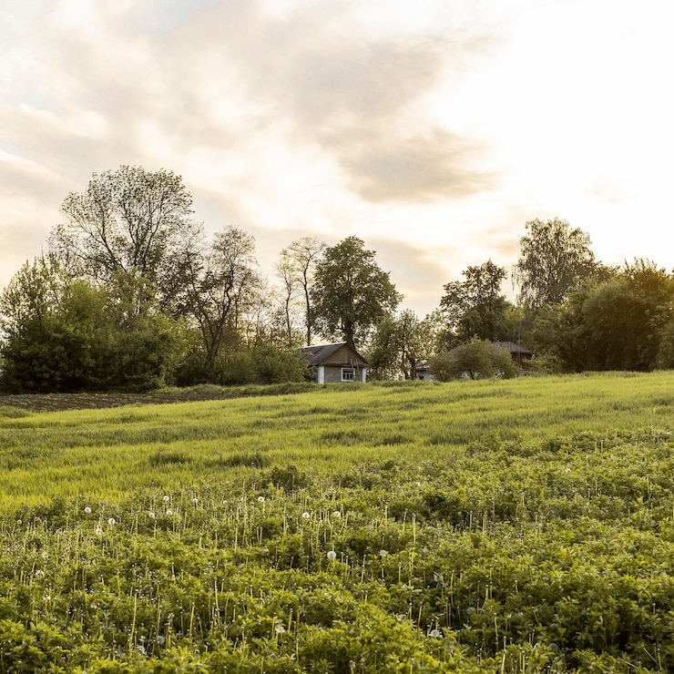 Photo gratuit paysage agricole de la campagne