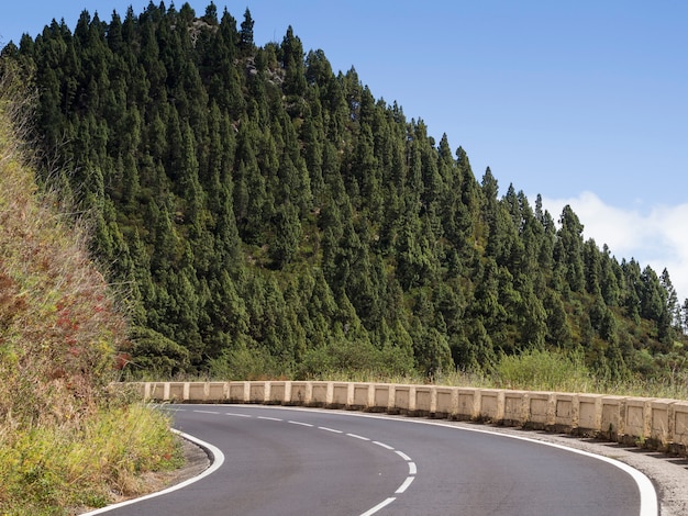 Paysage d'arbres avec autoroute