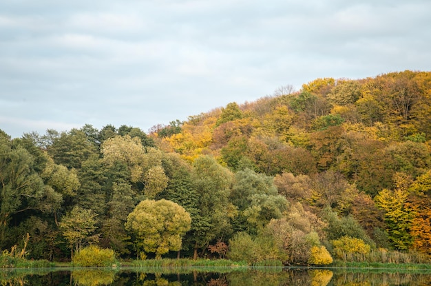 Photo gratuite paysage d'automne avec une forêt sur fond naturel de lac