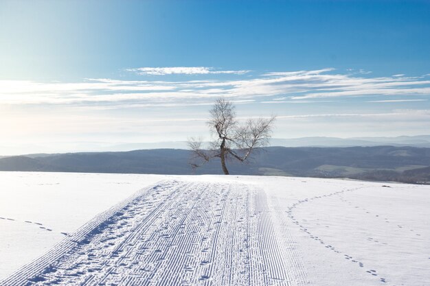 Paysage d'un champ couvert de neige avec des collines sous le soleil