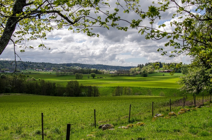 Photo gratuit paysage d'un champ couvert de verdure sous un ciel nuageux pendant la journée