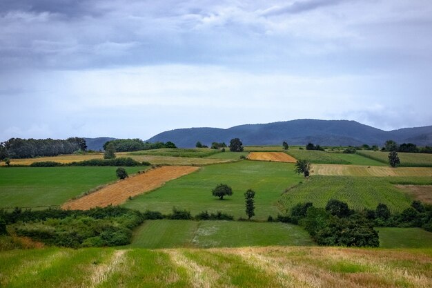 Paysage de champs dans un village entouré de collines couvertes de forêts sous un ciel nuageux