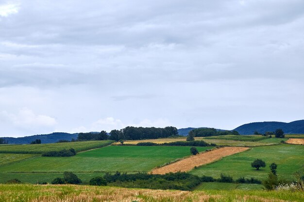 Paysage de champs entouré de collines couvertes de verdure sous le ciel nuageux