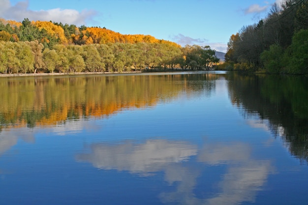 Photo gratuite paysage chute des arbres forestiers en plein air