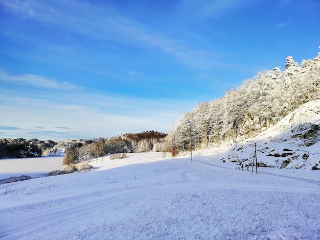 Paysage de collines couvertes d'arbres et de neige sous la lumière du soleil et un ciel bleu à Larvik en Norvège