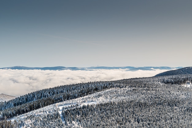 Paysage des collines couvertes de forêts et de neige sous la lumière du soleil pendant la journée