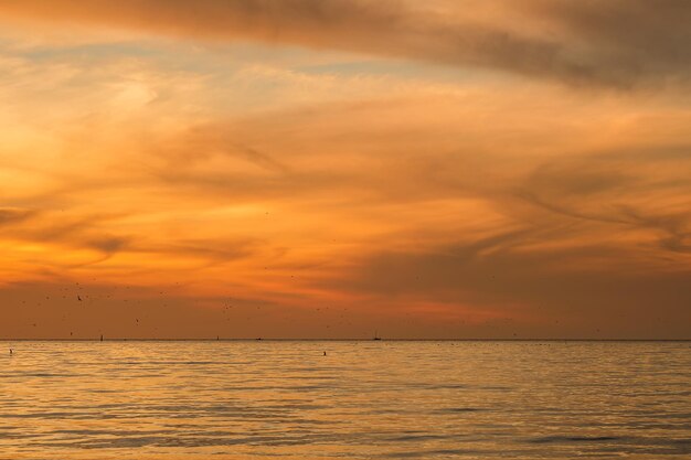 Paysage avec un coucher de soleil sur la mer Noire. Coucher de soleil orange fleurs brûlées. Photographie naturelle de la nature