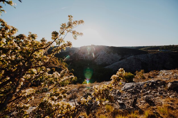 Paysage d&#39;un coucher de soleil par temps clair