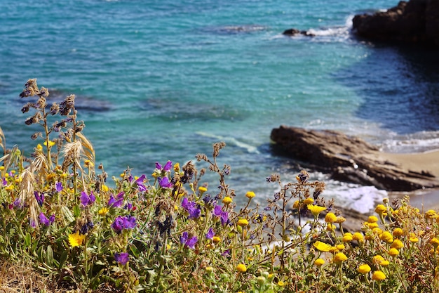 Paysage à couper le souffle d'une belle mer avec des formations rocheuses et des fleurs sur la côte