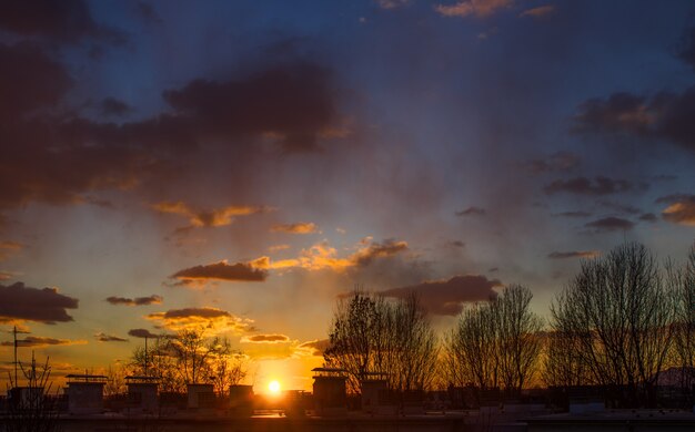 Paysage à couper le souffle du coucher de soleil dans le ciel nuageux et silhouettes d'arbres à Zagreb, Croatie